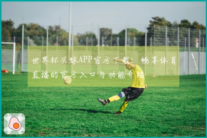 世界杯买球APP官方下载：畅享体育直播的官方入口与功能介绍