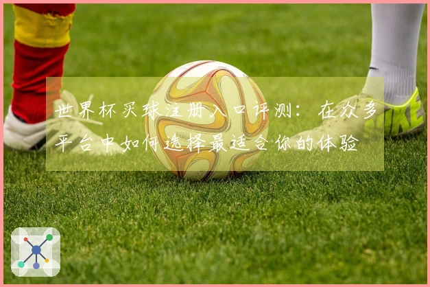 世界杯买球注册入口评测：在众多平台中如何选择最适合你的体验
