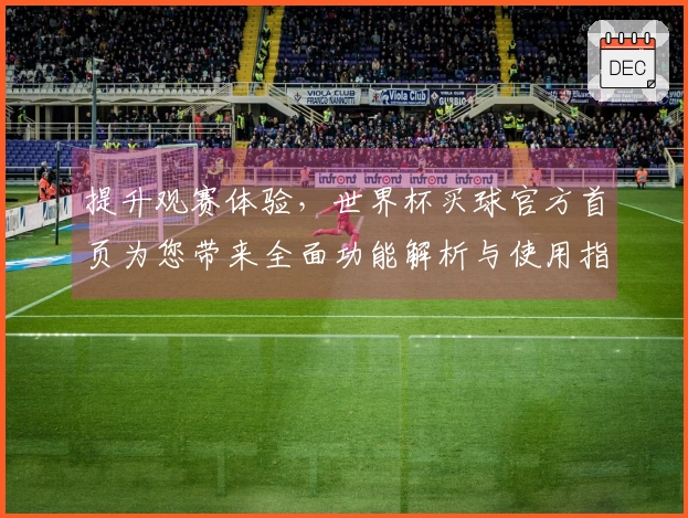 提升观赛体验，世界杯买球官方首页为您带来全面功能解析与使用指南