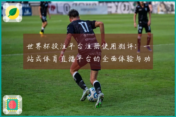 世界杯投注平台注册使用测评：一站式体育直播平台的全面体验与功能介绍