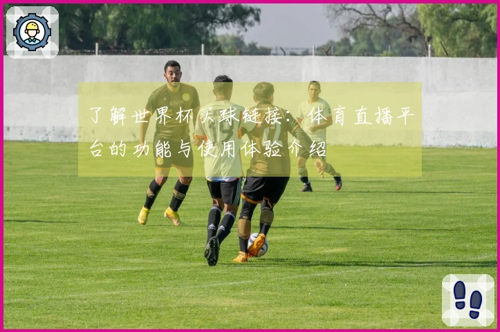 了解世界杯买球链接：体育直播平台的功能与使用体验介绍