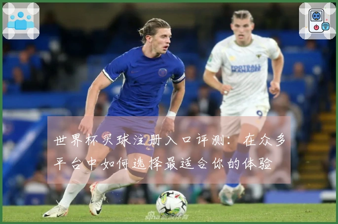世界杯买球注册入口评测：在众多平台中如何选择最适合你的体验