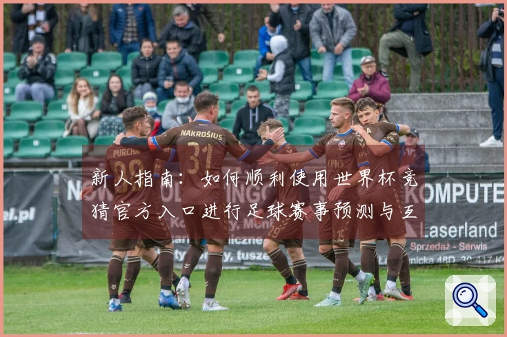 新人指南：如何顺利使用世界杯竞猜官方入口进行足球赛事预测与互动